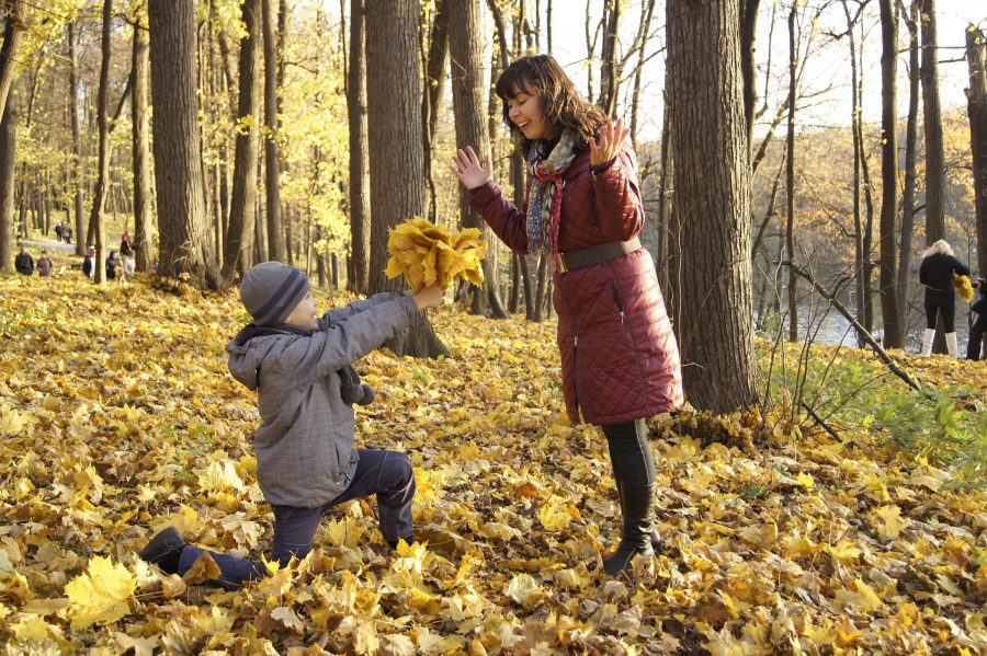 mother-and-son-leaves